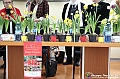 VBS_1023 - Presentazione Messer Tulipano 2025 - 25.ma edizione